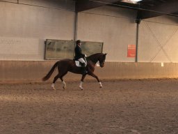 Herbstturnier 25.-27.10.2024